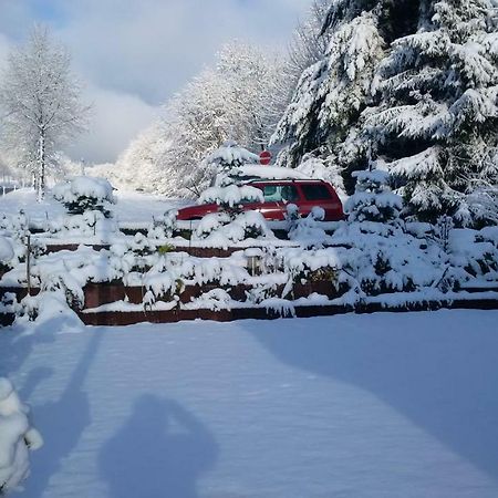 Ferienhaus Rosemarie Breungeshain Εξωτερικό φωτογραφία