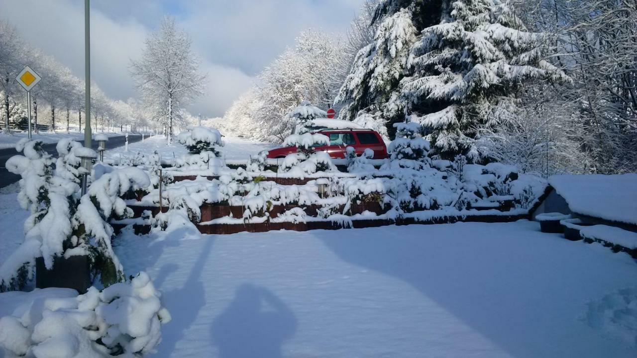 Ferienhaus Rosemarie Breungeshain Εξωτερικό φωτογραφία